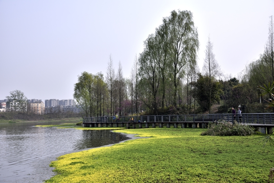 城市公园