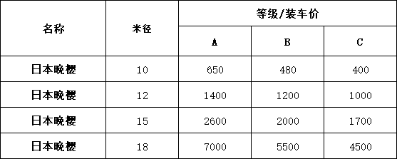 11.png