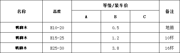 11.png